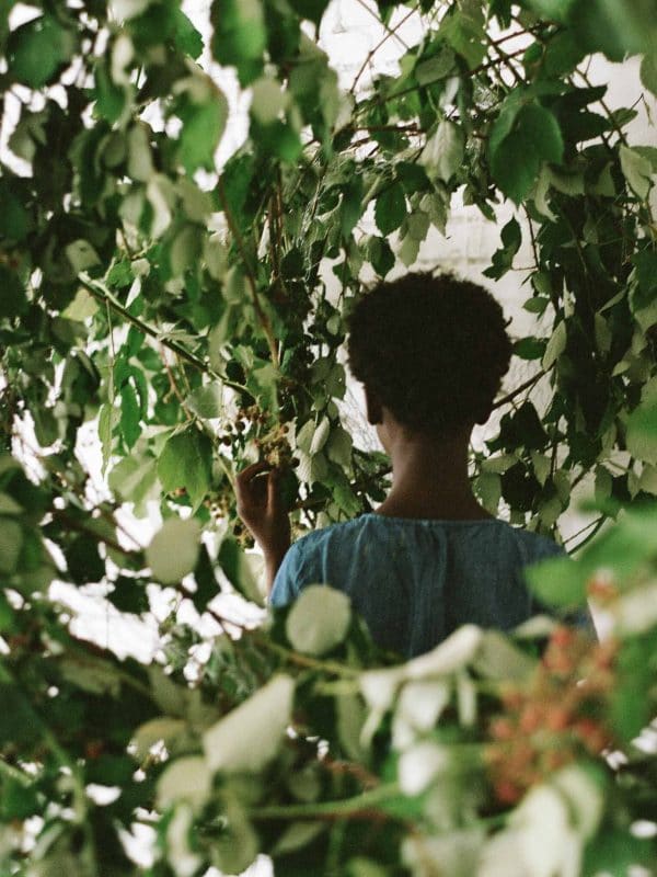 blackberry ramble floral installation designer | sarahwinward.com